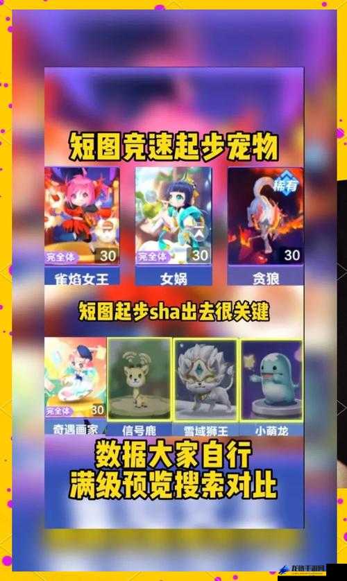 QQ飞车手游琵琶精宠物深度攻略,底层逻辑与实战操作映射